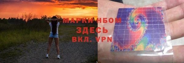 твердый Надым
