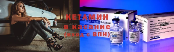 ПСИЛОЦИБИНОВЫЕ ГРИБЫ Дмитриев