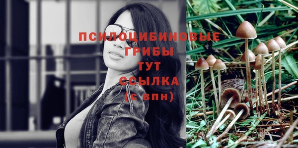 MDMA Дмитров