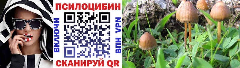 Галлюциногенные грибы Psilocybine cubensis  как найти закладки  kraken ТОР  Орлов 